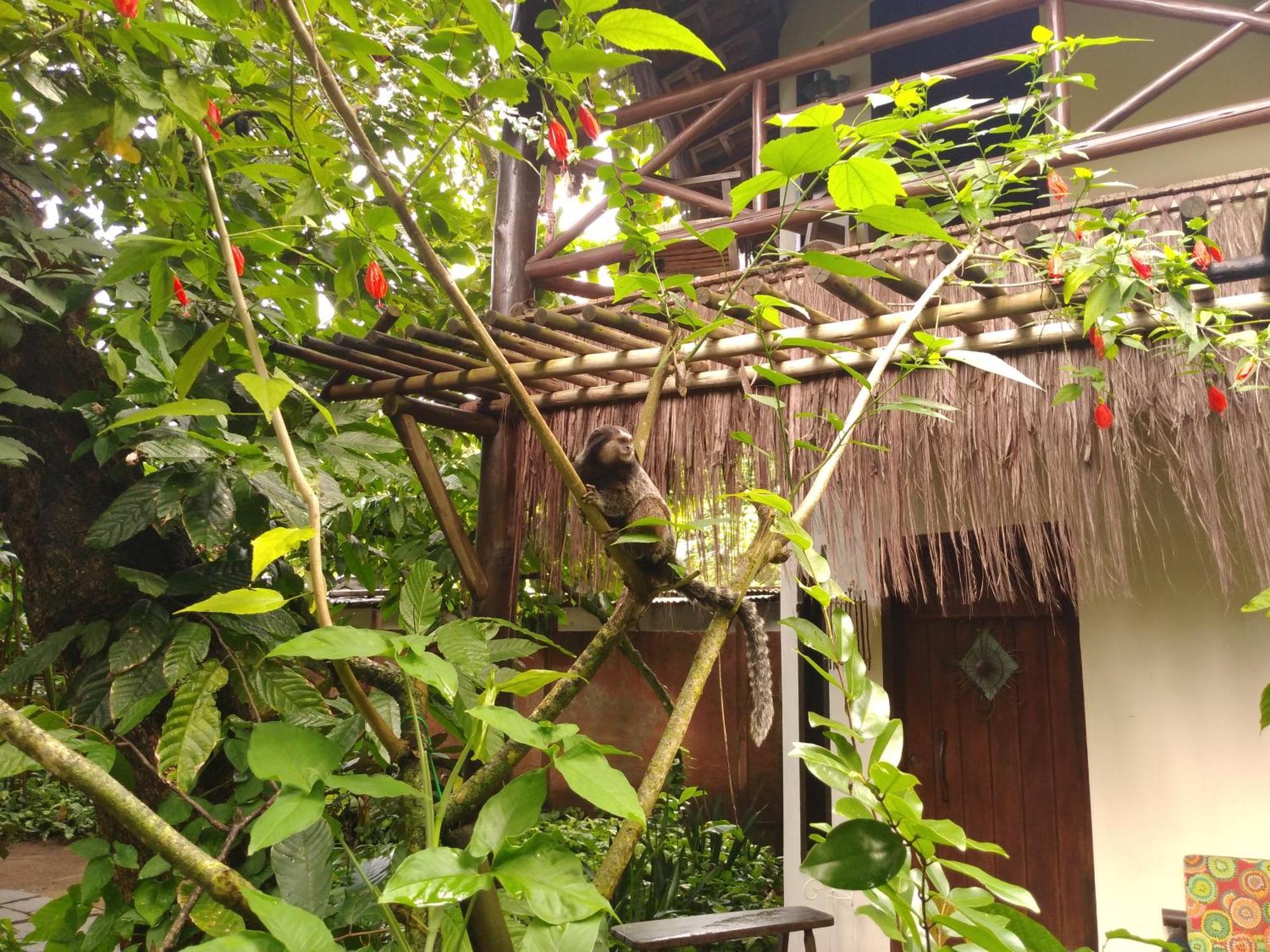 Hotel Pousada Fruta Pao Barra Grande  Esterno foto